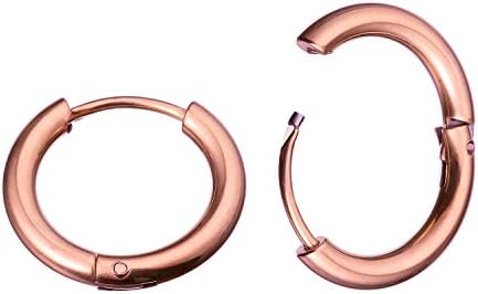 1 Pair 316L Stainless Steel 2/5" (10mm) Hinged Segment Ring Silver Black Rose Yellow Rainbow Blue Hoop Sleeper Earrings Body Piercing (Rose Gold)