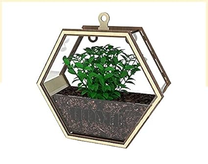 LOMESH Wall Hanging Wooden Flower Pot, Hexagon Shape Wooden Garden Stand Hanging Flower Pot for Home Decoration, Wall Mounted Flower Basket Planter Hanging Flower Pot showpiece Balcony Decoration