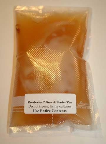 Kombucha Mushroom Culture Starter Kit, Basic