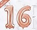 Sweet 16 Party Supplies by Serene Selection, Rose Gold Birthday Decorations for Girls, Photo Booth Props, Silver Fringe Foil Curtain, Cake Topper, Happy Birthday Balloons, Sash, Sixteen Decorations