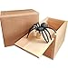 GIIOASA Rubber Spider Prank Surprise Box，Handcrafted Wooden Surprise Box, Fun Practical Surprise Joke Boxes,SpiderBox-Single