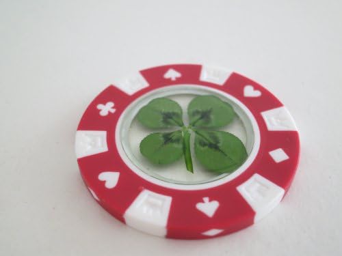Real Four Leaf Clover Chips with Certificate (red)