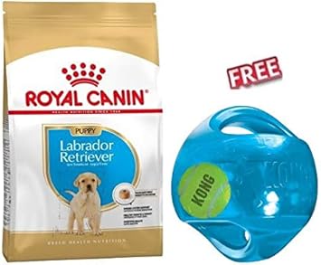 royal canin 12kg labrador