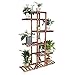 Wisfor Wooden Plant Stand for Indoor Plants, 6 Tiered Tall Plant Shelf Stand for Balcony Garden Flower Display Holder Stand