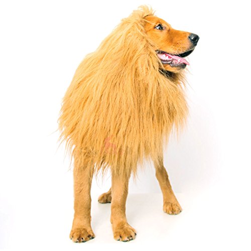 Pet Supplies, Dogs, Apparel & Accessories, Shirts