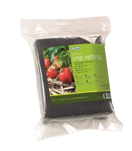 Grow It 68010 Bean and Pea Support Netting, Multi-Colour, 6 x 1.7 m