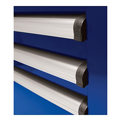 Homak H2PRO Series 56-Inch 8-Drawer with 2-Drawer Compartment Roller, Blue, BL04056082