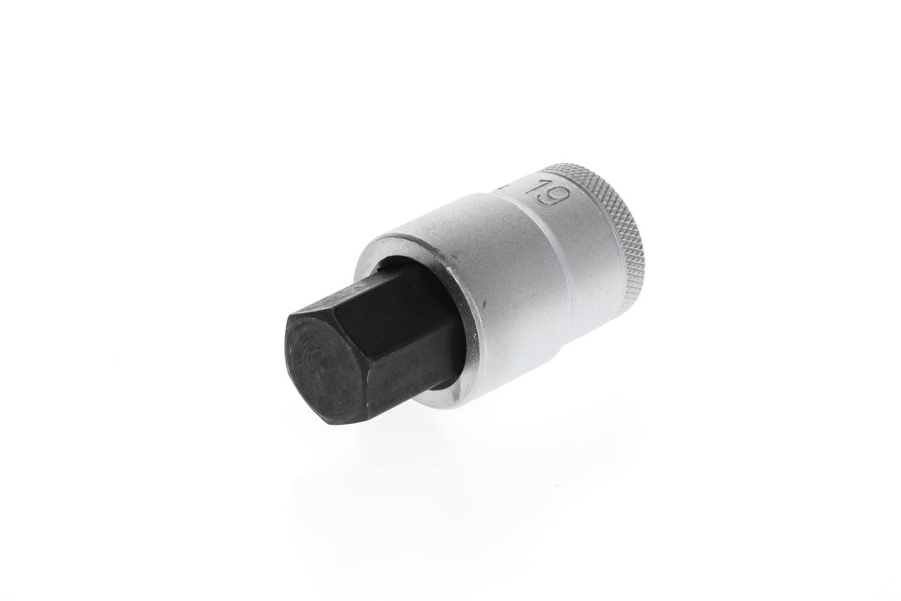 GEDORE Screwdriver bit Socket Allen, AF 19 mm, 1/2" 12.5 mm, Screwdriver bit Socket, Tool, in 19 19