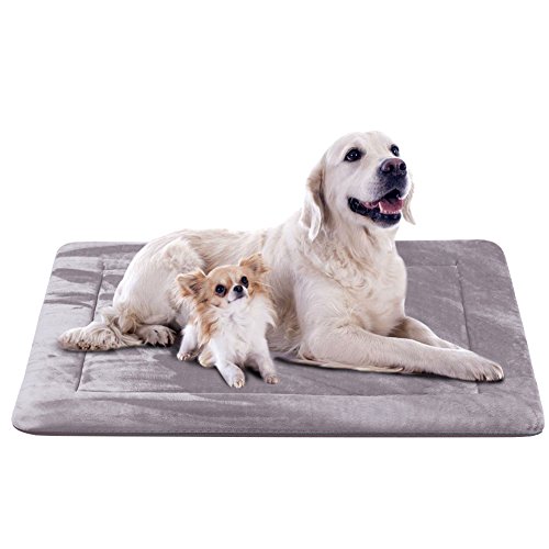 Compare price to dog beds extra large clearance