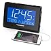 Magnasonic Alarm Clock Radio with USB Charging for Smartphones & Tablets, Auto Dimming, Dual Gradual Wake Alarm, Battery Backup, Auto Time Set, Large 4.8