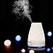 Esky 100ml Essential Aroma Humidifier Portable Ultrasonic Cool Mist 7 Color LED Lights Changing