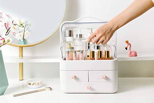En Da Professional Makeup Train Case Clear See Through Display