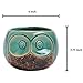 MyGift Small Owl Ceramic Succulent Planter, Flower Pot Vase, Turquoise & Brown