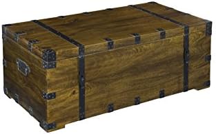Coastto Coast Imports 75325 Brown Trunk Cocktail Table