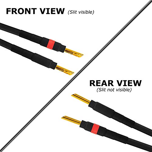 10 Foot - Coaxial Audiophile Speaker Cable Pair Custom Made by WORLDS BEST CABLES - Using Mogami 3082 Wire ＆ Eminence Gold Plated Spade Plugs (2 Plug Better Cables Blue Truth Digital Coax Audio Cable