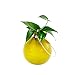Achla Designs SV-03Y Hanging Glass Flower Vase, Yellow