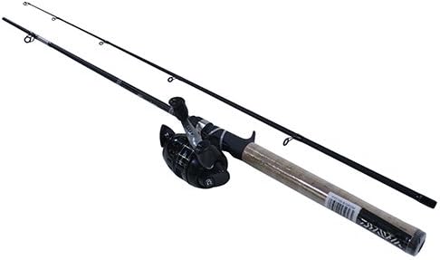 daiwa spincast combo