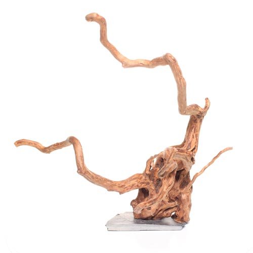 Top 10 Underwater Wood of 2020 No Place Called Home