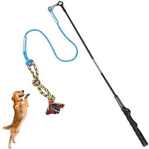 DIBBATU Interactive Flirt Pole