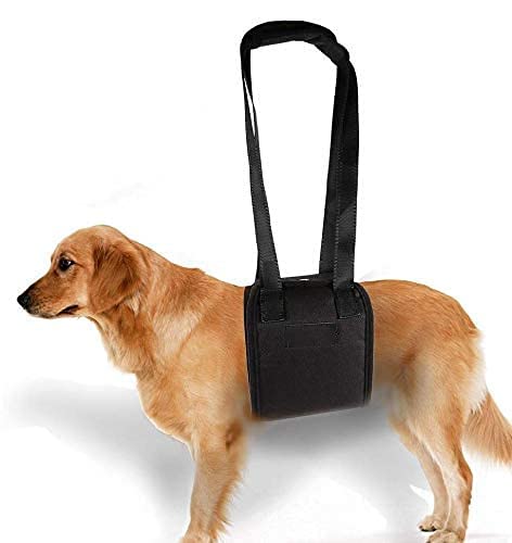 Dog Lift Harness Helps Dogs Breath Out of Weakness to Lift Up or Walk for Injured or Elderly Pets