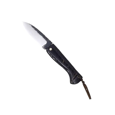 Citadel Taschenmesser Aizto bi, 78323