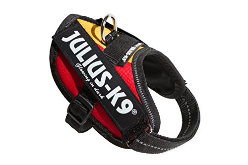 Julius-K9 16IDC-BG-B2 IDC Power Harness, Size: Baby 2 (33-45cm/13-17.5"), Belgian Flag