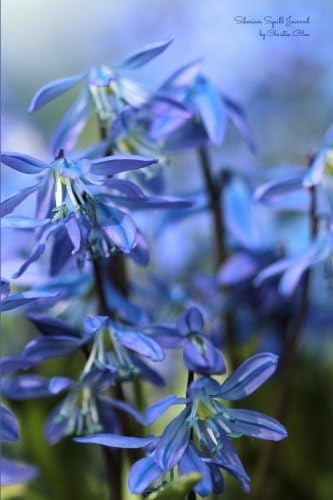 Siberian Squill Journal: (Blank Book, Notebook, Diary)