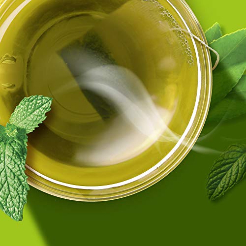 TAZO Zen Green Fresh Brewed Iced Tea Unsweetened Non GMO, 1 gallon, Pack of 24 Pricepulse