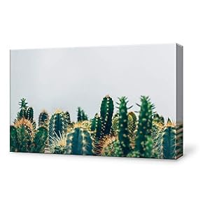 Tropical Plants Painting Wall Poster Decor for Living Room Framed