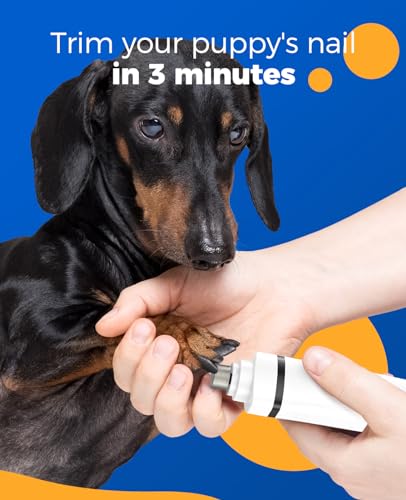 oneisall 4 in 1 Quiet Dog Cat Hair Clipper Rechargeable Clipper with 4 Multifunctional Full Body Trimmer Heads