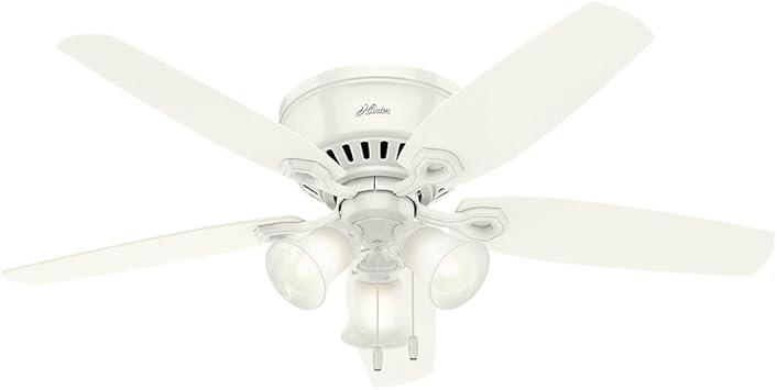 Hunter Indoor Low Profile Ceiling Fan With Pull Chain Control