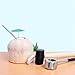 FANATU Coconut Opener Tool Set for Young Coconuts – Super Safe & Easy to Use Coconut Opening Tool – Food Safe Stainless Steel Coconut Opener Set with Hammer