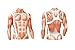 CW-X Conditioning Wear Men's Short Sleeve Ventilator Web Top, X-Large, Black/Orange