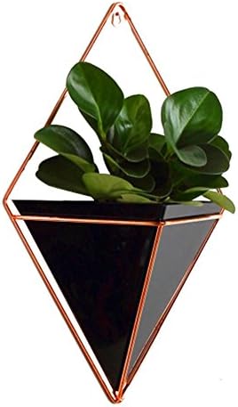 Trigg Hanging Planter Vase & Geometric Wall Decor Container - Great for Succulent Plants, Air Plant, Mini Cactus, Faux Plants and More, Concrete Resin/Copper - Large/Small/Black/White