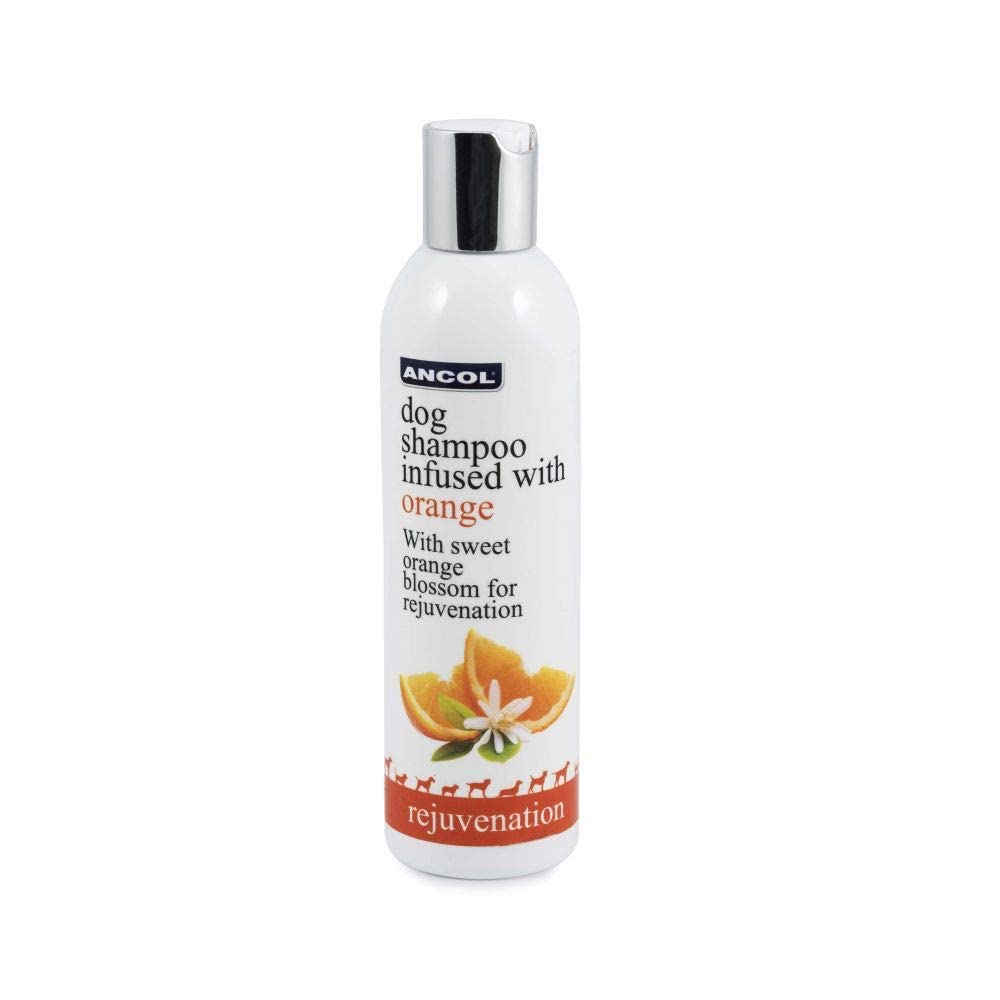 Ancol Luxury Dog Shampoo Orange 250ml bottle