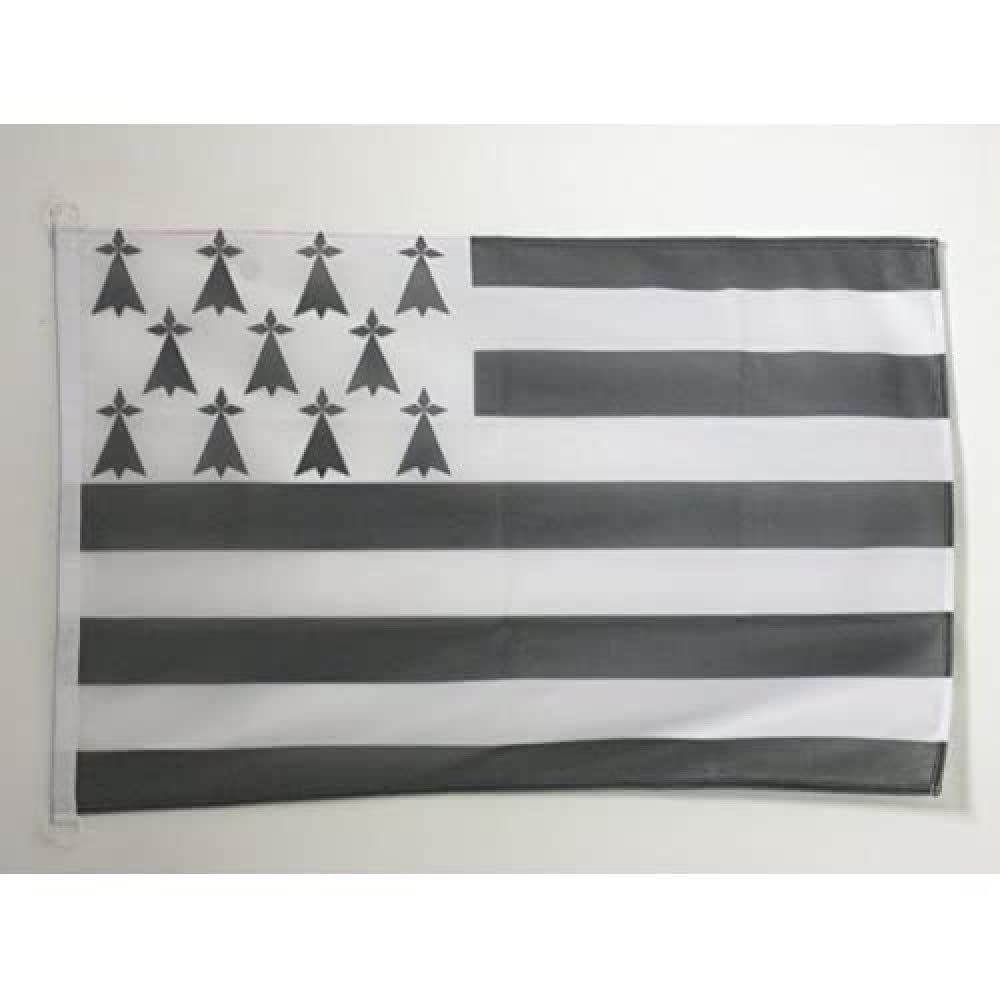 AZ FLAG - Brittany Flag - 2x3 Ft - For Outdoor - French region of Bretagne Banner Knitted Polyester with Two Plastic Rings - Fade Resistant - Vivid Colors - 2' x 3' Feet - 90x60 Cm