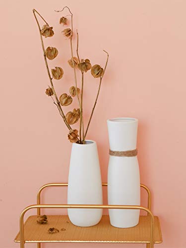 3 Opps+Ceramic+differing+Unique+Design