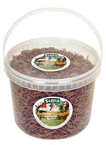 Supa Dried Mealworms for Wild Birds, 3 Litre Bucket | High Energy Protein Rich Treat For Garden Birds | Attract More Birds To Your Garden | Quality Wild Bird Food