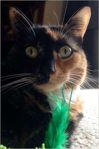 The Munchkin Calico Cat Journal Oh Is That The Can Opener 150