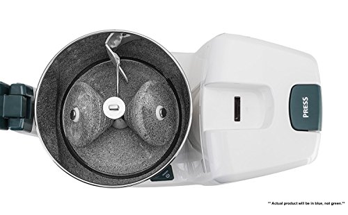 Elgi Ultra Bigg+ 2.5 Liter Table Top Wet Grinder with Atta Kneader, 110 Volt
