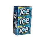 NEW Dentyne Ice Winter Chill Sugar Free Gum