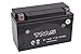 TMS AGM ATV Battery Yt7b-bs Yt7b-4 for Suzuki Drz400 E/s/sm 00-09 Yamaha Yfz450 04-09 450x Ds450 TTR 250 225 Zuma Yw 125 Triumph Daytona 675 2006-2011