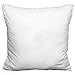 Splendid Collection Euro Square Pillows, 2-Pack 26-by-26 Inch