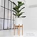 Sona Home Adjustable Mid Century Plant Stand, 3 Sizes, 3 Colors - Modern Plant Stand Indoor Outdoor, Planter Stand Only (Large, Bamboo)
