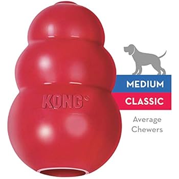 Pet Supplies Pet Chew Toys Wobbler Large Amazon Com