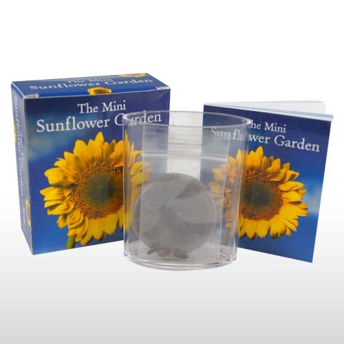 El jardín de girasol Mini: Amazon.es: Jardín
