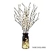 EAMBRITE 6PK Lighted Branches Brown Twig Stake with 120LED Warm White Lights, 30