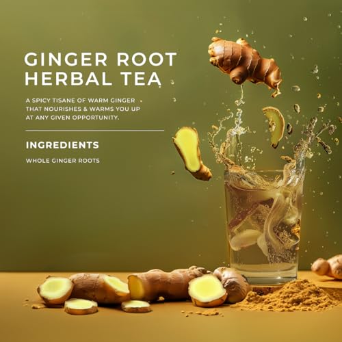 GYA TEA CO PREMIUM GINGER ROOT HERBAL TEA – 5.29 OZ 70 CUPS DECAF LOOSE LEAF TEA FOR DIGESTIVE SUPPORT & COMFORT