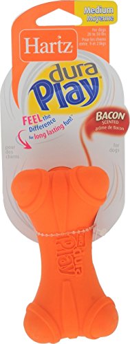 Hartz Dura Play Bacon Scented Dog Bone Toy - Medium (Colors Vary)