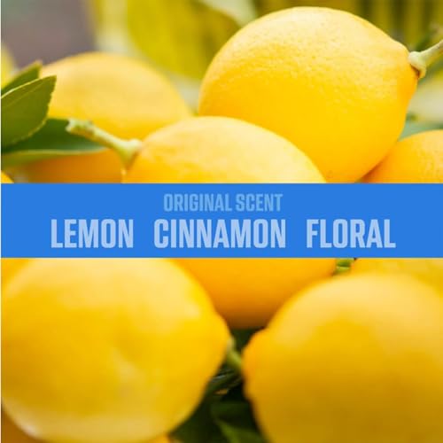 Ozium 0.8 oz. Air Sanitizer & Odor Eliminator for Homes, Cars, Offices and More, Original Scent